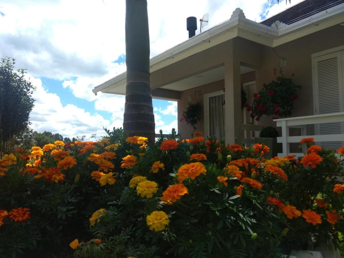 Apartament Casa Zanata Gramado Zewnętrze zdjęcie